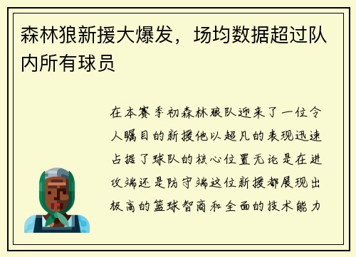 森林狼新援大爆发，场均数据超过队内所有球员